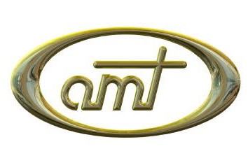 https://fame-usa.com/wp-content/uploads/2021/04/AMT-logo-Gold.jpg